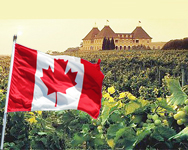 加拿大旅游，加拿大酒庄，国庆假期，国庆旅游，加拿大投资