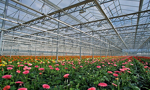 CCAGR2019春：品美酒，赏桃花，探索加拿大农业日