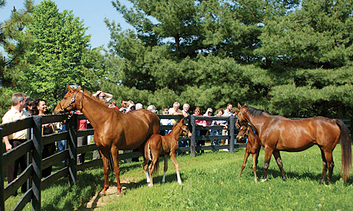 CCAGR2019春：品美酒，赏桃花，探索加拿大农业日