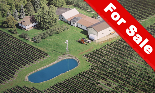 CCAGR2019春：品美酒，赏桃花，探索加拿大农业日