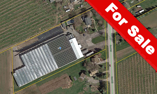 CCAGR2019春：品美酒，赏桃花，探索加拿大农业日