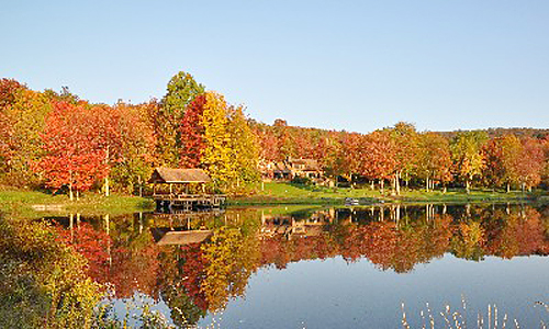 加拿大多伦多城市附近带内湖树林可有机种植的度假庄园