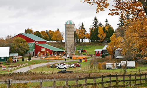 加拿大最大农家乐农场
