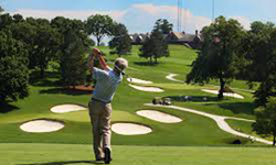 加拿大高尔夫球场，可开发土地出售