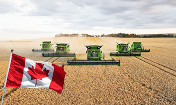 全球气候变暖 加拿大农业机遇来了