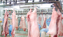 加拿大肉类加工厂出售