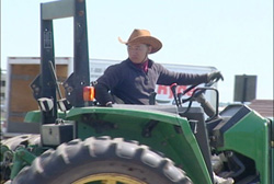 Chinese farmer Canada farm