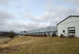 CCAGR，加拿大农场，加拿大移民，投资加拿大, 加拿大蔬菜温室农场