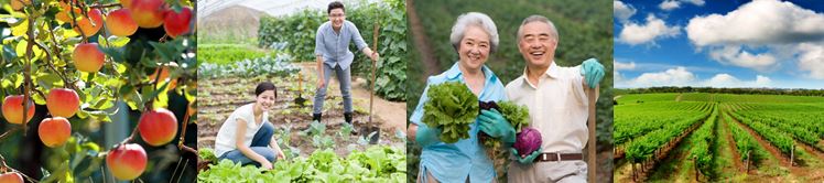 CCAGR，加拿大农场，加拿大移民，投资加拿大, 2016 CCAGR夏季加拿大华人农场现场考察与培训课程