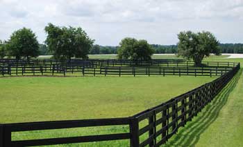 horse farm, ontario farm