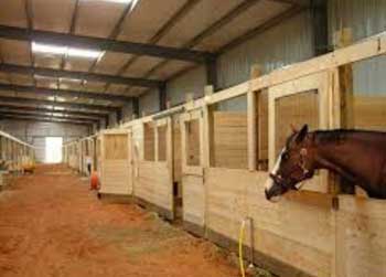 horse barn, horse racing farm