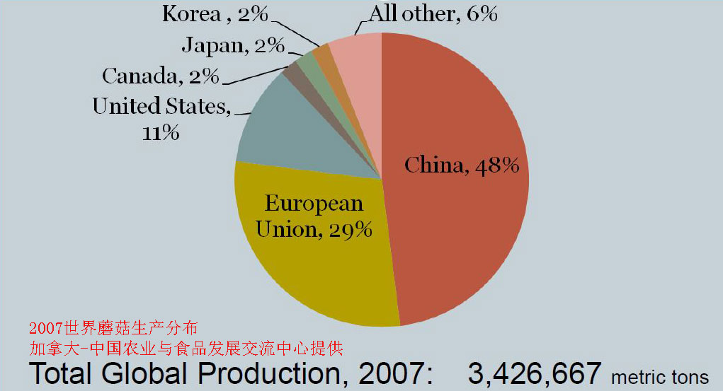 世界蘑菇产业生产分析