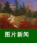 f中加农业8-www.ccagr.net