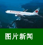 d中加农业8-www.ccagr.net