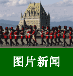 中加农业-ccagr.net