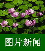 China Agriculture