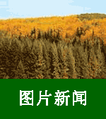 Canada Agriculture