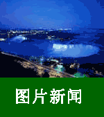 中加农业10-www.ccagr.net