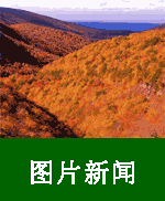 中加农业14-www.ccagr.net