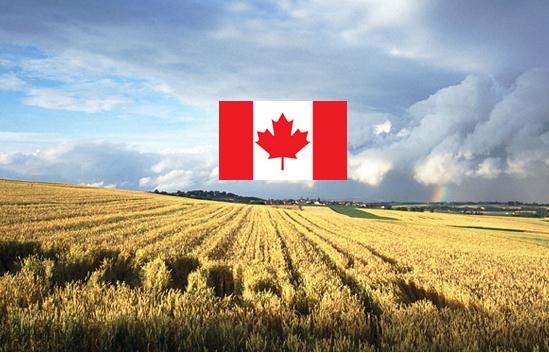 加拿大农业集体移民
