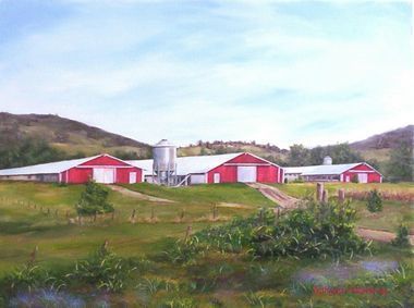 Chicken farm 