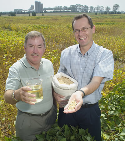 Canadian soybeans