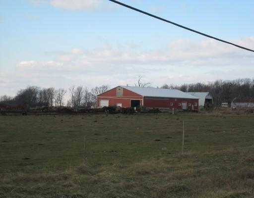 milk farm