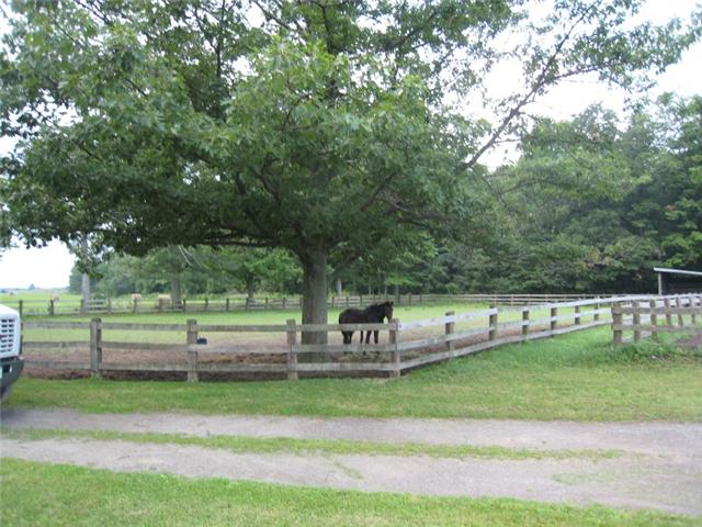 horse farm