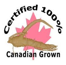 canadian ginseng