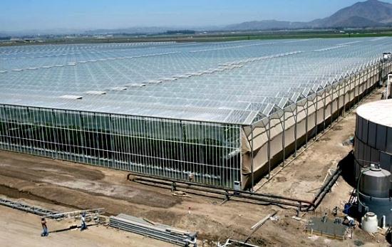 canadian greenhouse