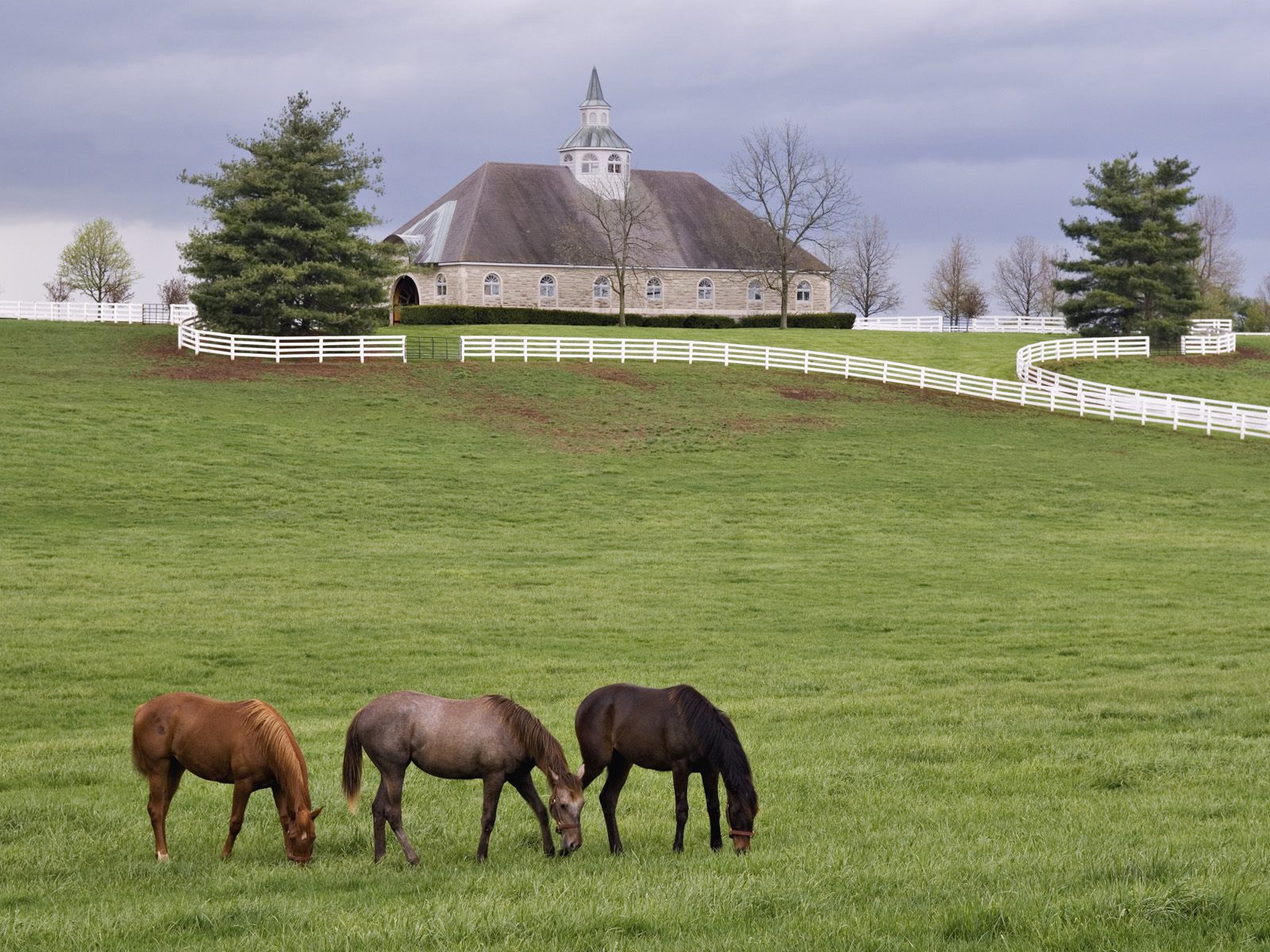 horse farm