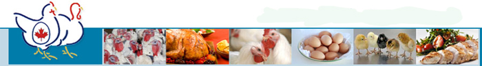 加拿大家禽产业， 加拿大养鸡场， 加拿大鸡蛋