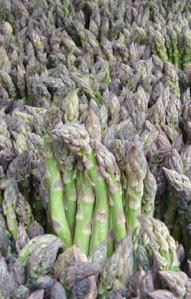 asparagus