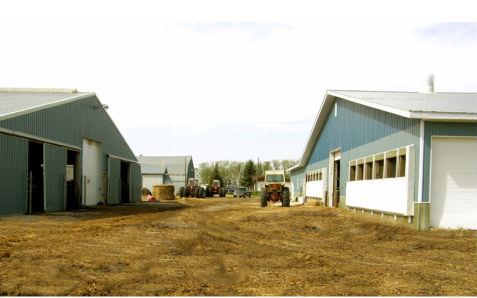 农场大别墅有四间卧室,旁边还建有一处小住宅;农场有三个养牛棚,还有